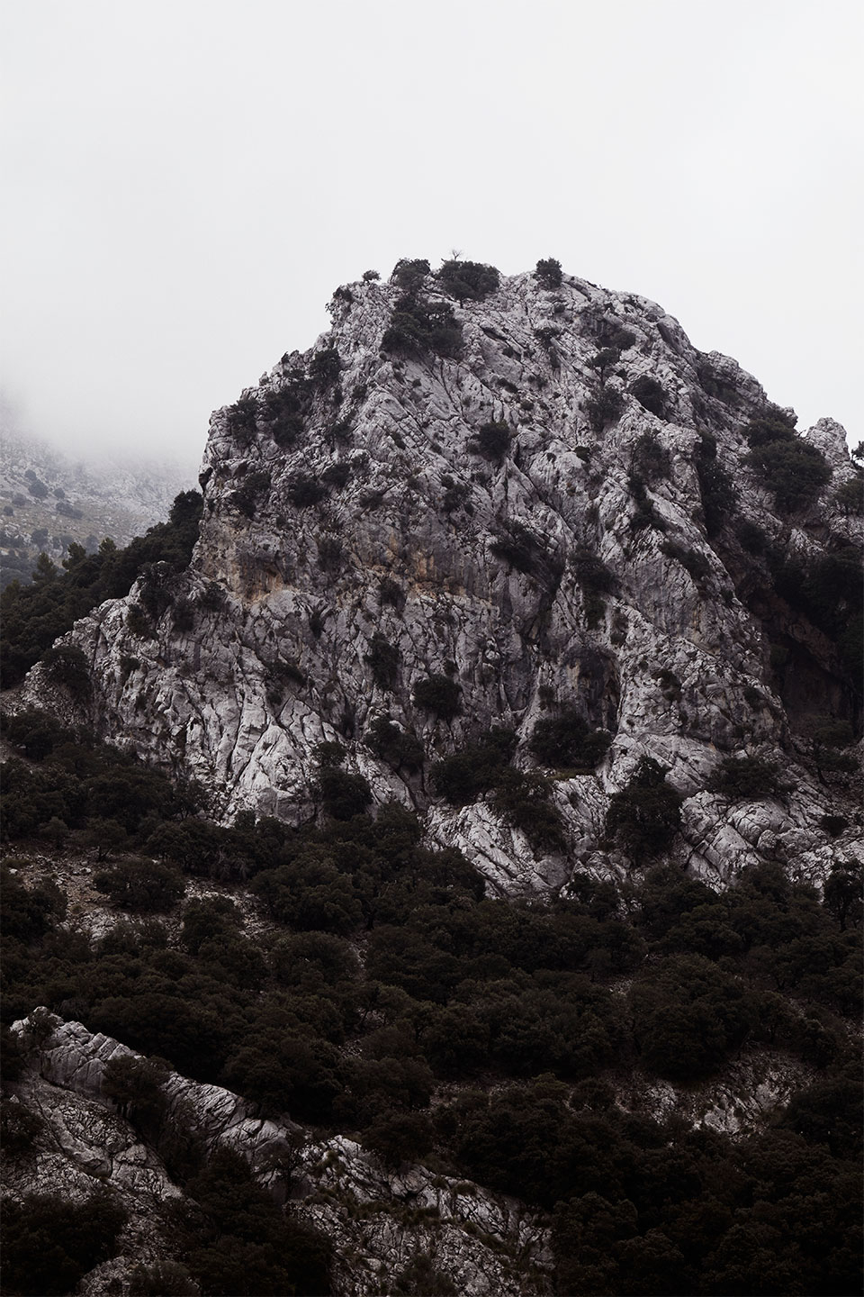 Sa   Calobra   No        Af   Camilla   Schmidt
