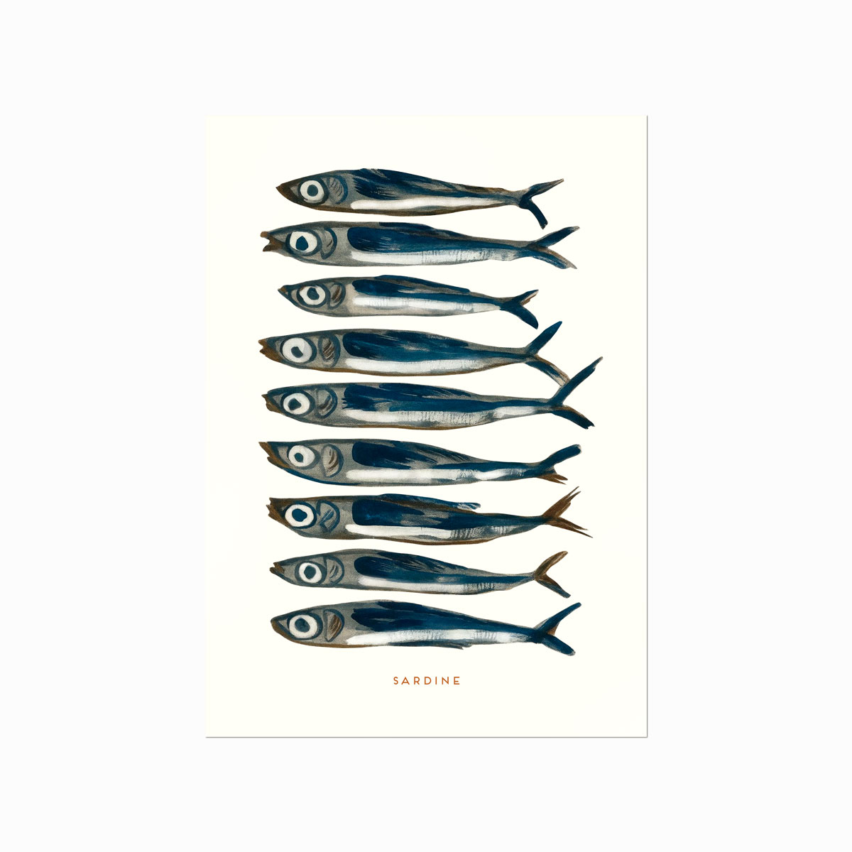 Sardin   Plakat    Sardine