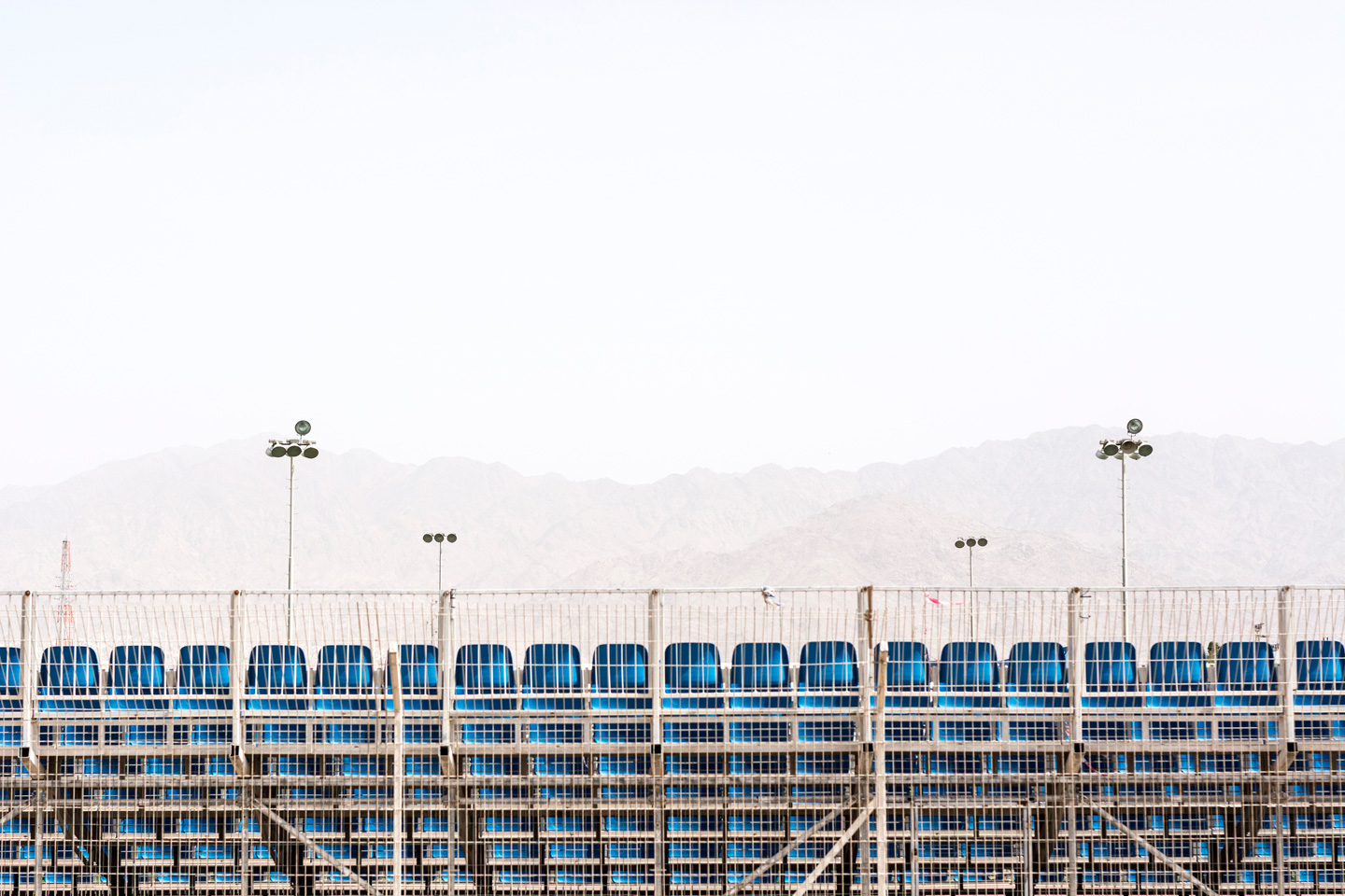 Scenes   Af   Tal   Paz - Fridman