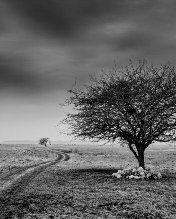 Side   Of   The   Road   Af   Jakob   Evers