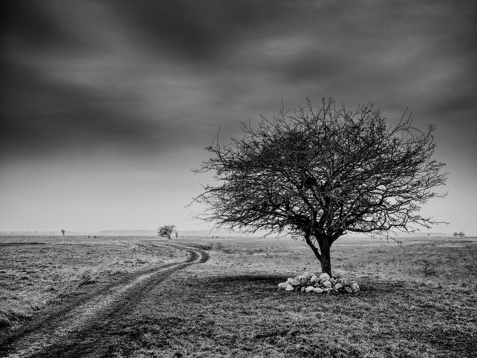 Side   Of   The   Road   Af   Jakob   Evers