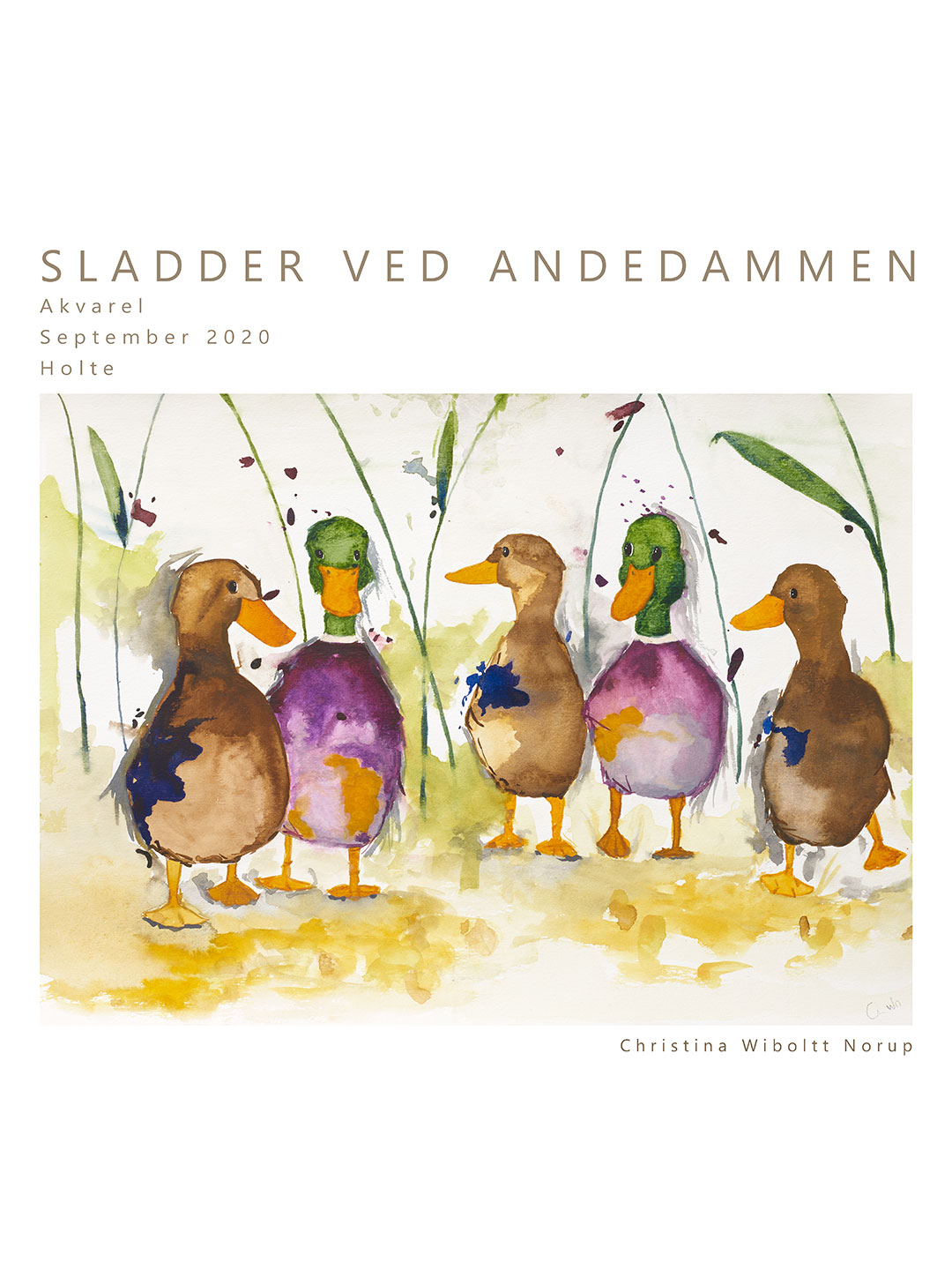 Sladder   Ved   Andedammen   No        Af   Leo   Mio