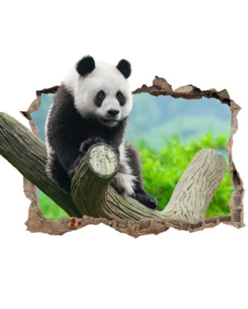 Sød   Panda   Wallsticker    Hul   I   Væggen    50x70cm