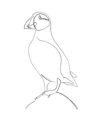 Søpapegøje   Af   Pluma   Posters