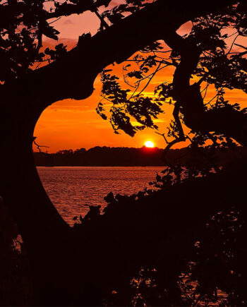 Solnedgang     Hjerteform   Af   Fotos   By   Srose