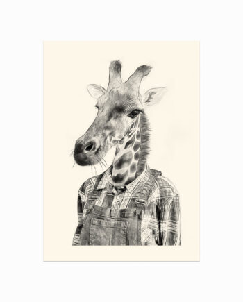 South   African   Giraffe