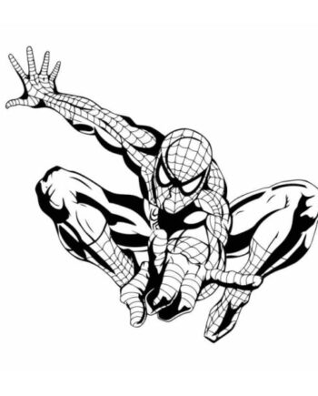Spiderman   Wallsticker    Spiderman   Vogter   Her    60x55cm