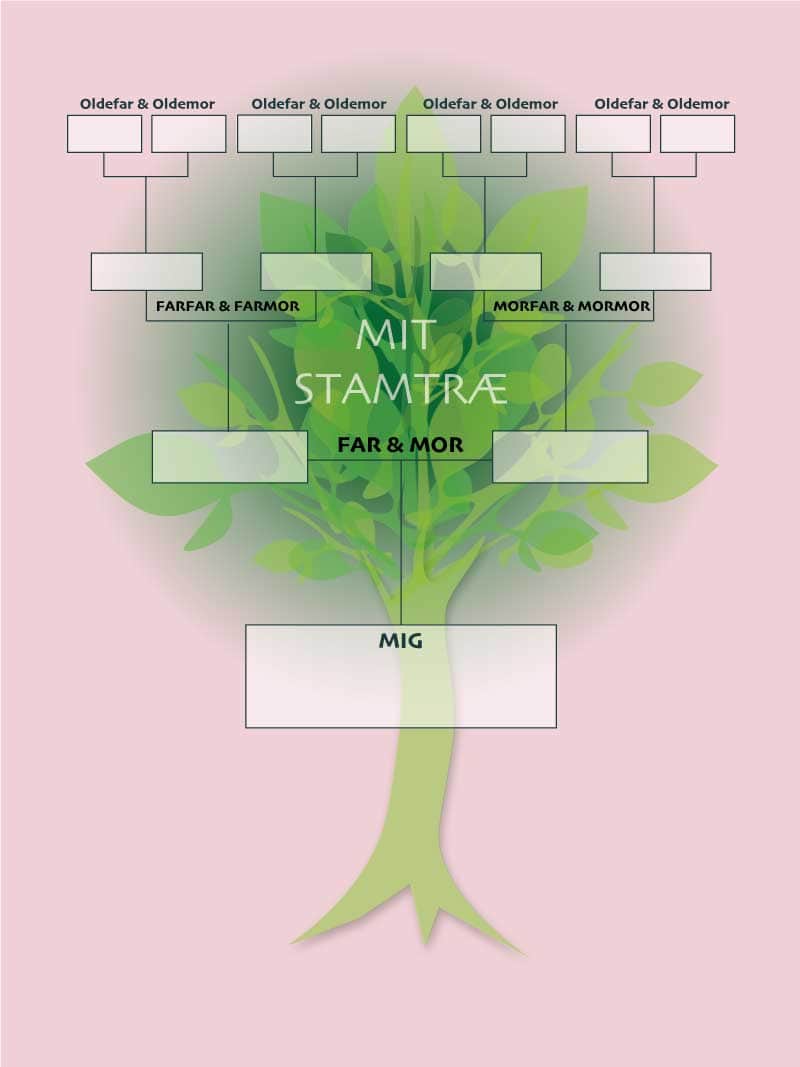 Stamtræ   Plakat
