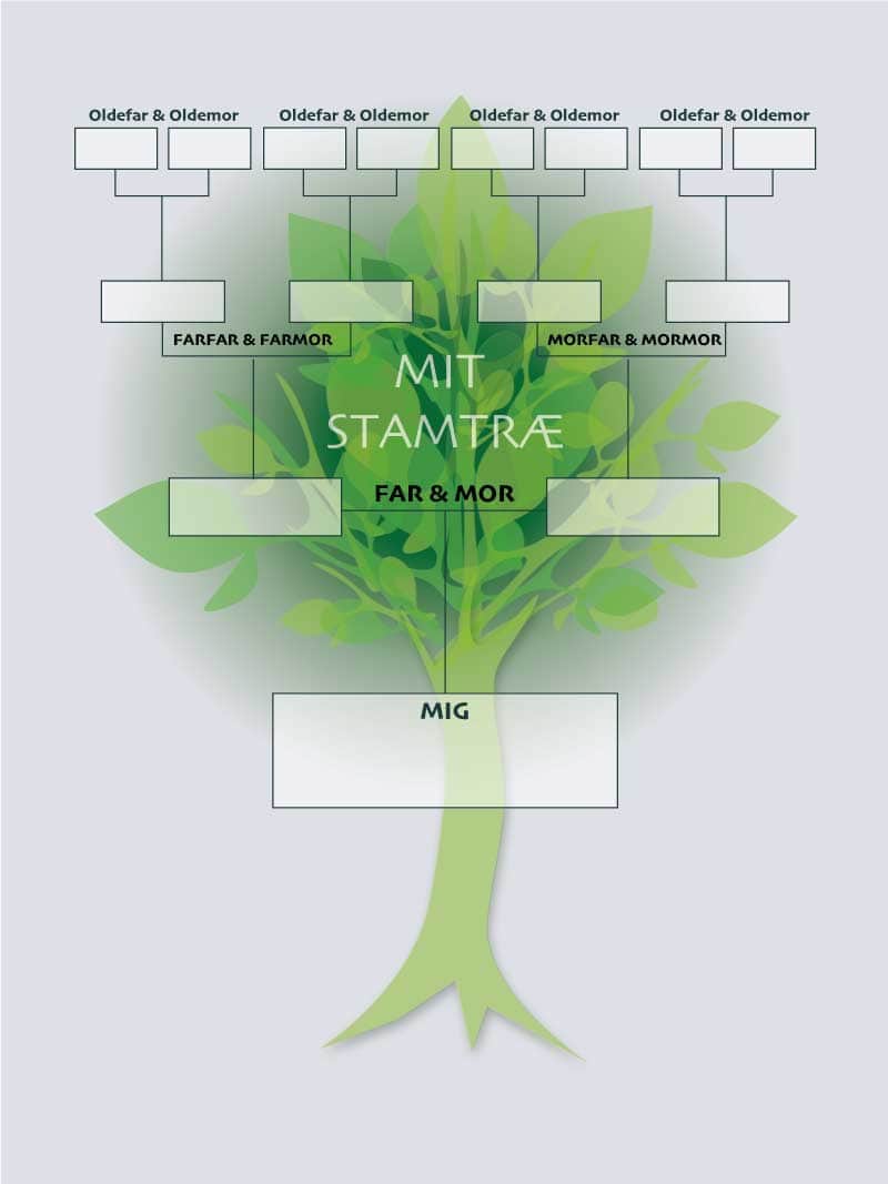 Stamtræ   Plakat