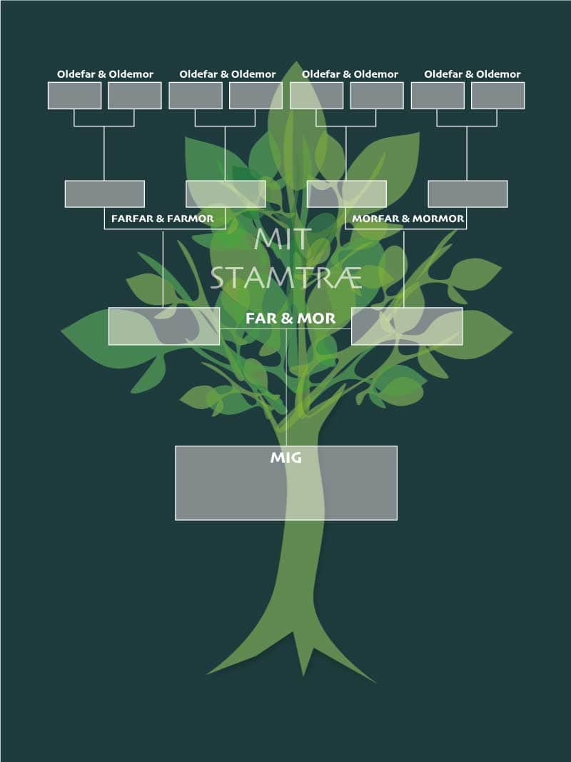 Stamtræ   Plakat