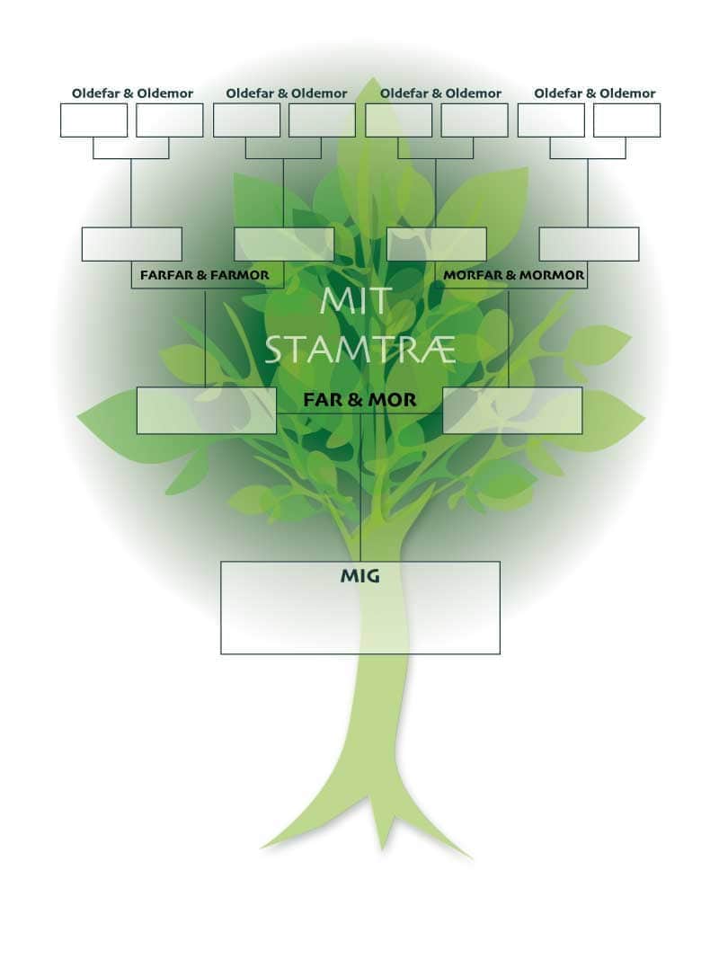 Stamtræ   Plakat