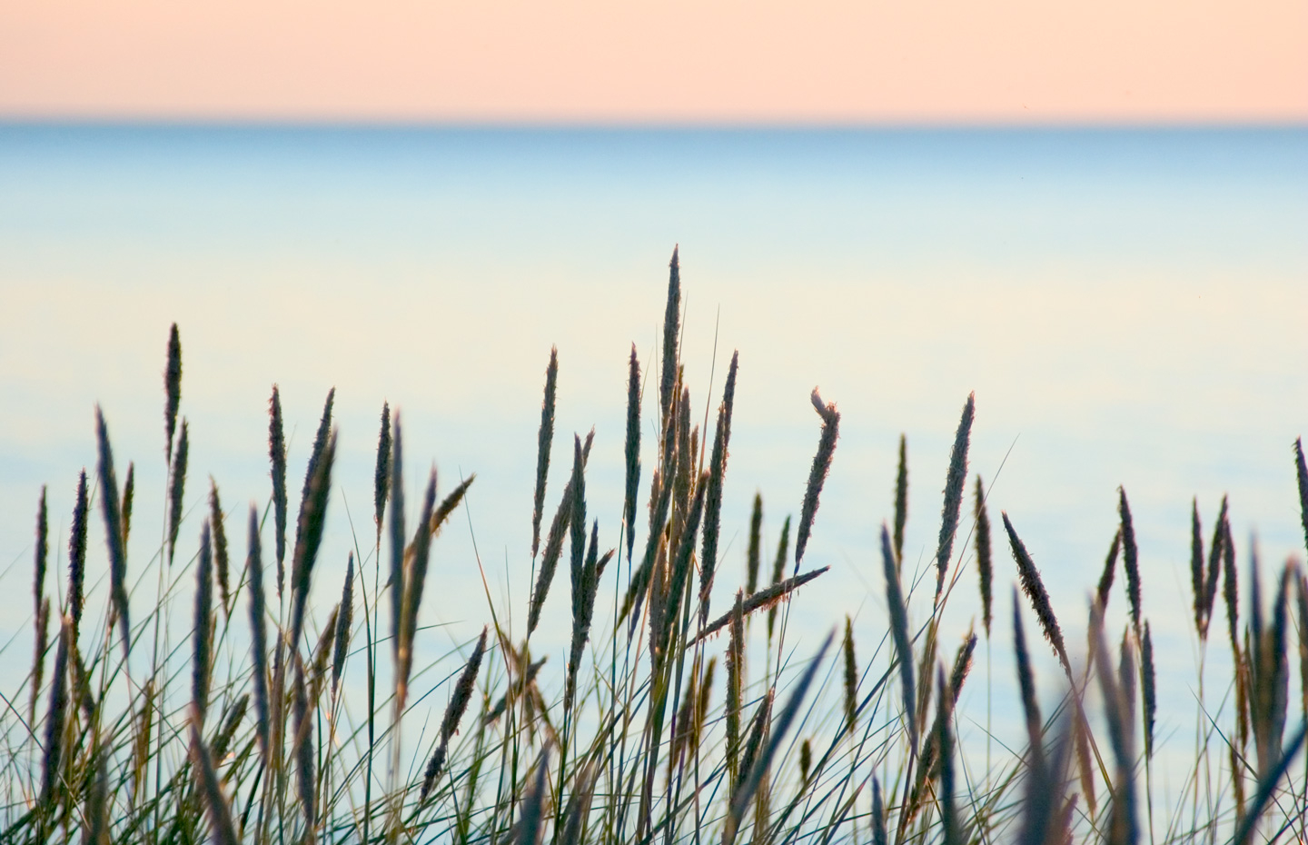 Summer   Beach   Af   Kirsten   Stigsgaard