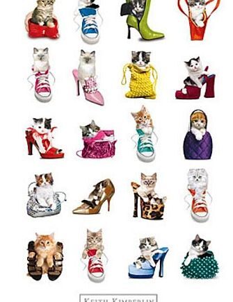 Super   Tilbud   Poster   Plakat    35   Keith   Kimberlin   Gatos    Cats   61x91       Cm