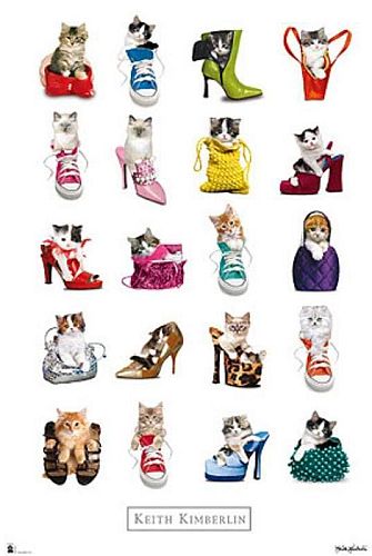 Super Tilbud Poster Plakat 35 Keith Kimberlin Gatos Cats 61x91 Cm