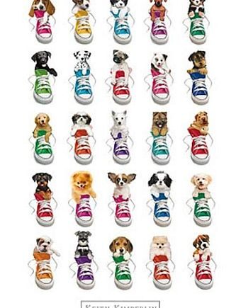 Super   Tilbud   Poster   Plakat   Keith   Kimberlin   Perros    Dogs   61x91       Cm