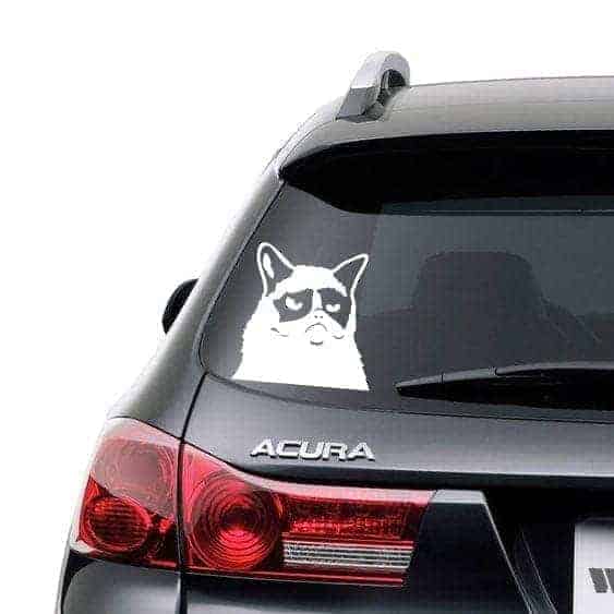 Sur   Kat   Wallsticker
