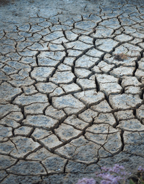 Surface   Af   Bytraberg