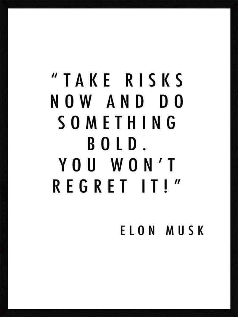 Take   Risks   Now   Elon   Musk   Plakat