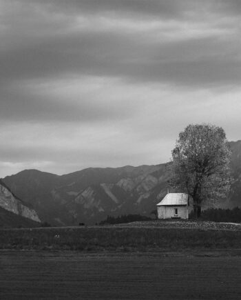 The   Lonely   House   And   Tree   Af   Rasmus   Gundorff   Sæderup