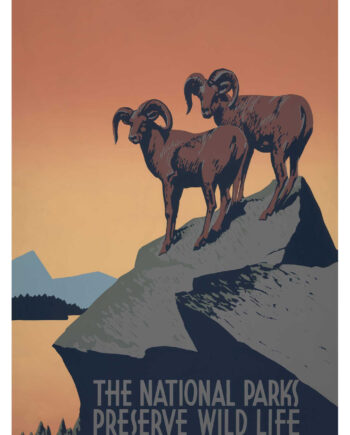 The   National   Parks   Af   Vintage   Vista   Designs