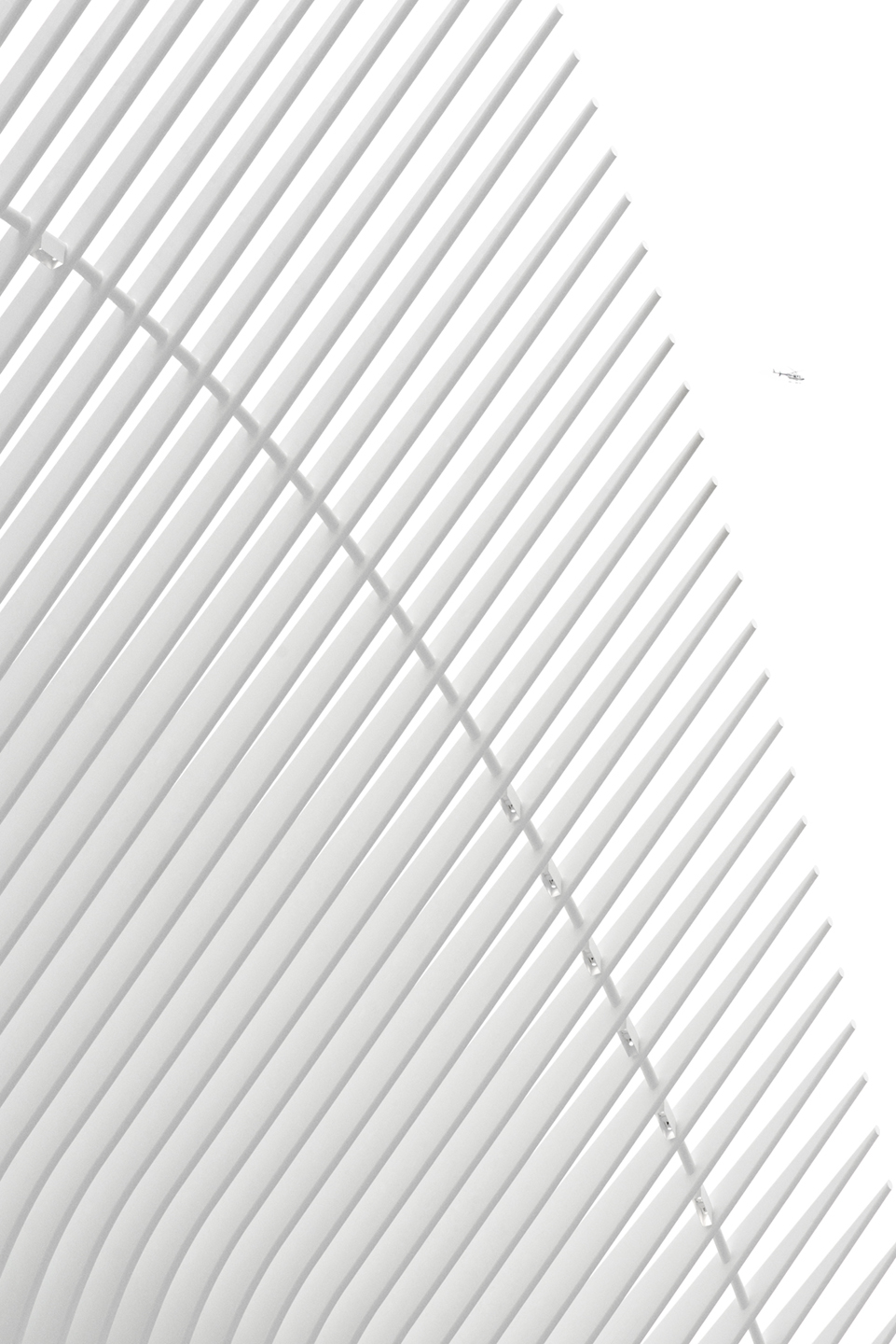 The   Oculus   No        Af   Frames