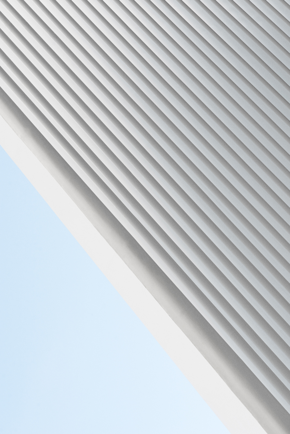 The   Oculus   No        Af   Frames