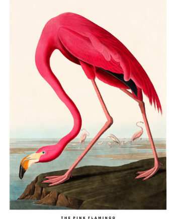 The   Pink   Flamingo   Af   Plakatwerket