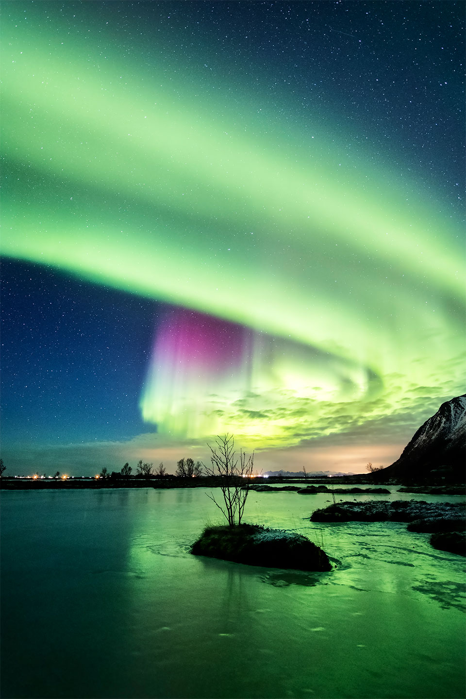 The   Tree   In   The   Lake   Af   Frank   Olsen