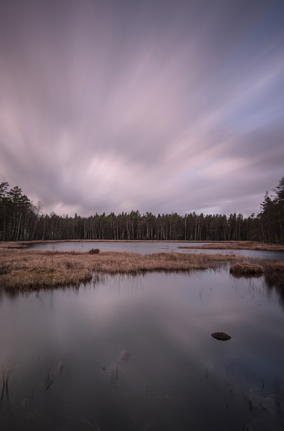 The   Tree   Line   Af   Mikkel   Beiter