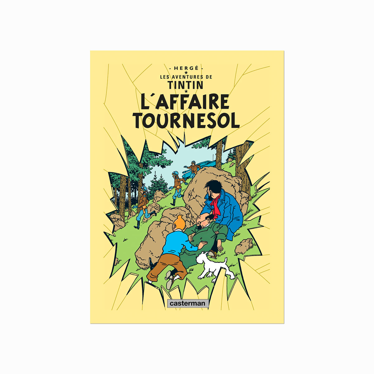 Tintin   Plakat    L   Affaire   Tournesol    1956