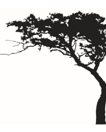Træ   Wallsticker   Med   Et   Stort   Flot   Træ   I   Bonsai   Stil    180x220cm