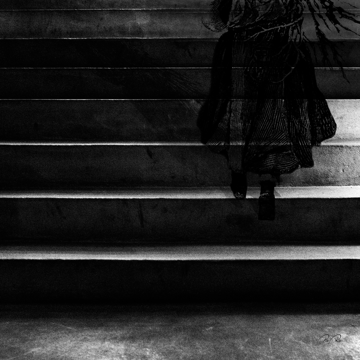 Transparency   Af   Pia   Roi