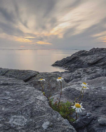 Trollhættan   Iii   Af   Cato   Johan   Rød   Photography