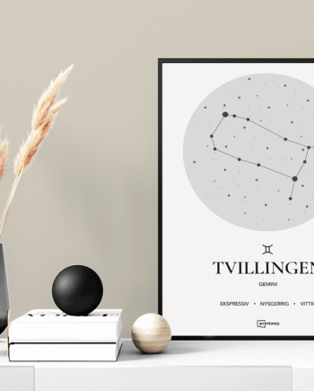 Tvillingen Stjernetegn Plakat Hvid 60 84 Cm  A1