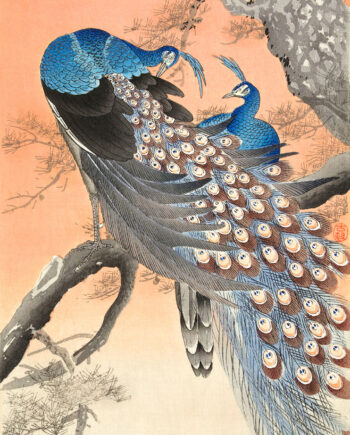 Two   Peacocks   On   Tree   Branch   Af   Plakatwerket