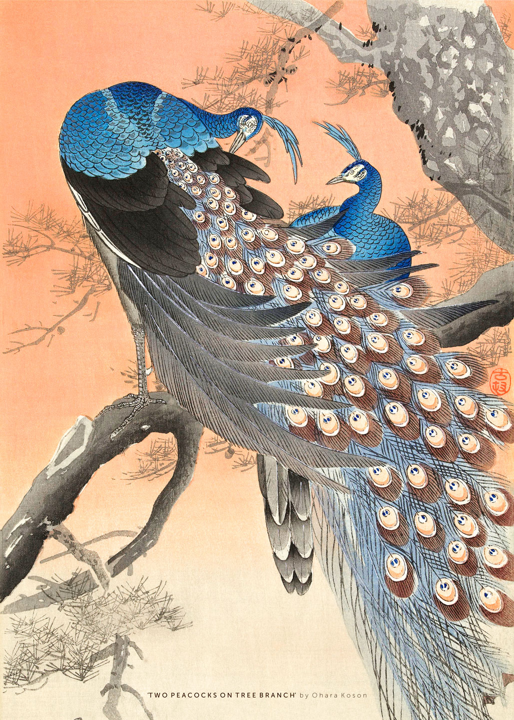 Two   Peacocks   On   Tree   Branch   Af   Plakatwerket