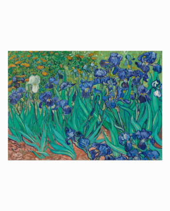 Van   Gogh   Plakat    Irises