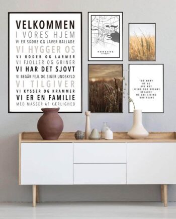 Velkommen   Hjem   Billedvæg