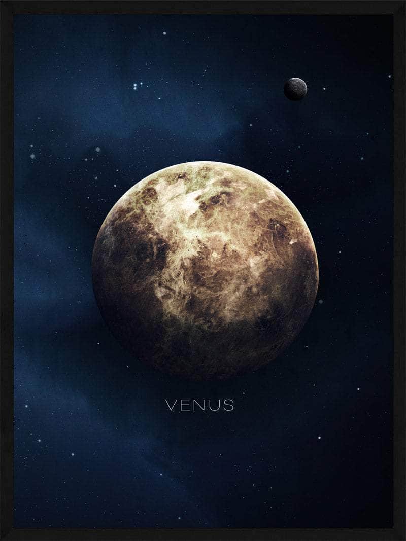 Venus   Plakat