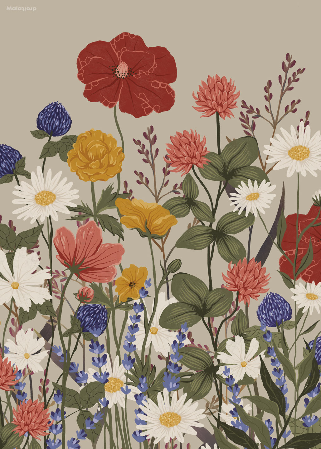 Vilde   Blomster   Lys   Af   Maladroit