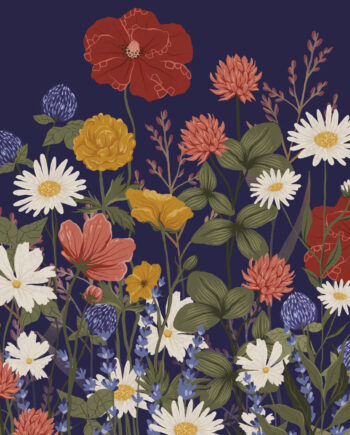 Vilde   Blomster   Mørk   Af   Maladroit