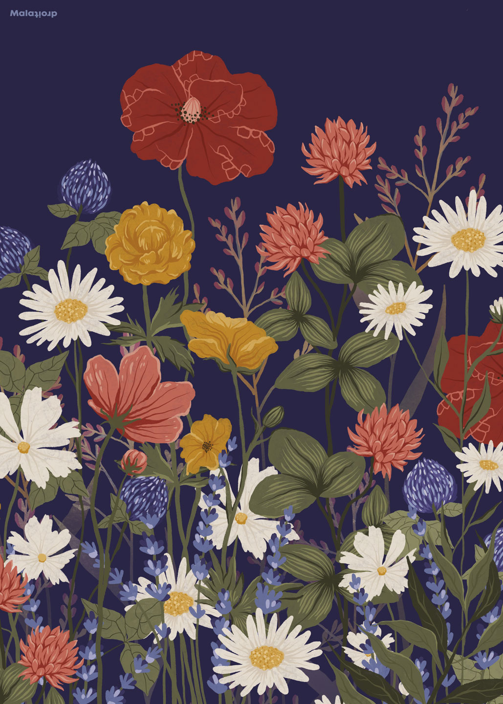 Vilde   Blomster   Mørk   Af   Maladroit