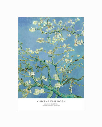 Vincent   Van   Gogh   Plakat    Almond   Blossom