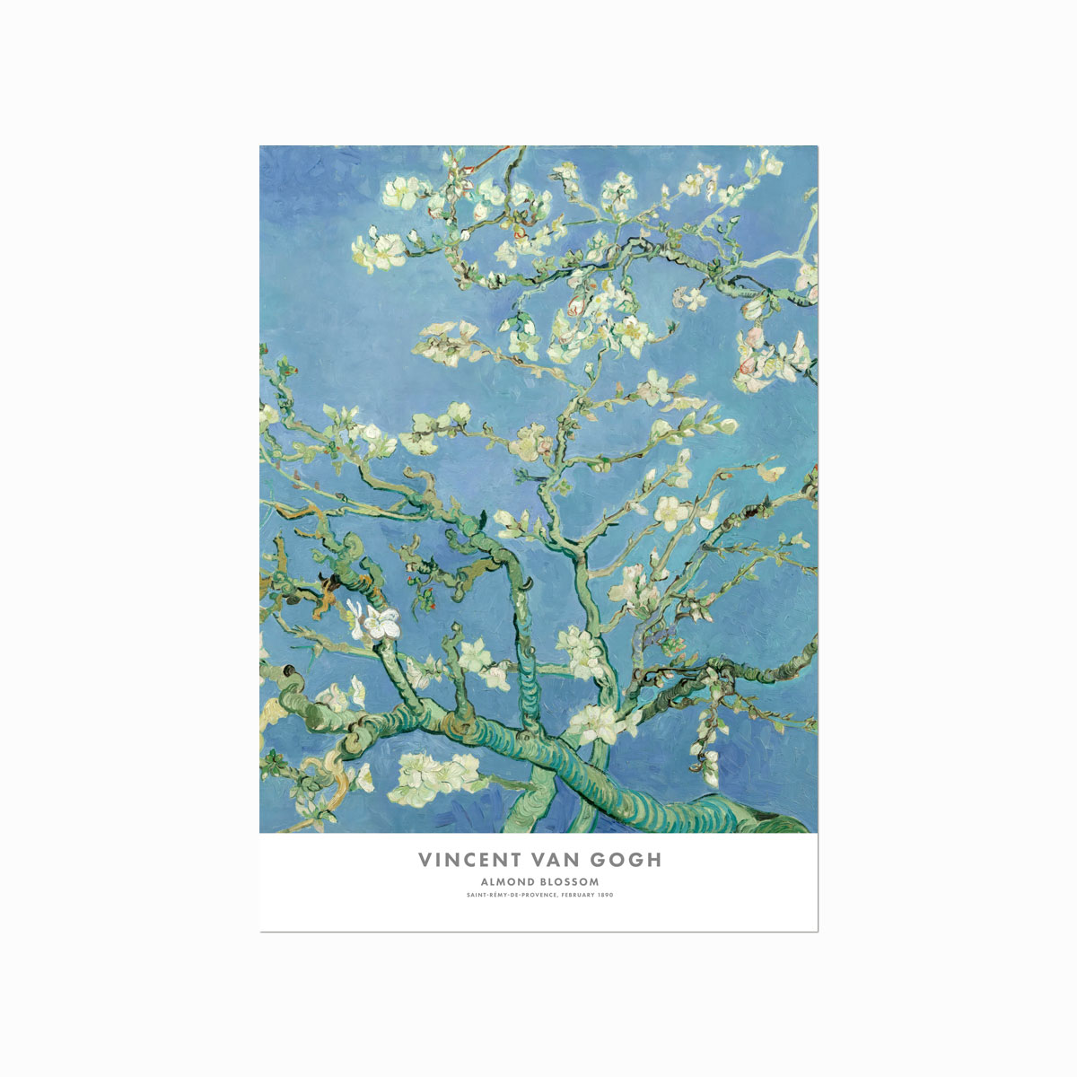 Vincent Van Gogh Plakat Almond Blossom