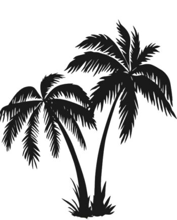 Wallsticker   Med   Flotte   Palmer    58x62cm