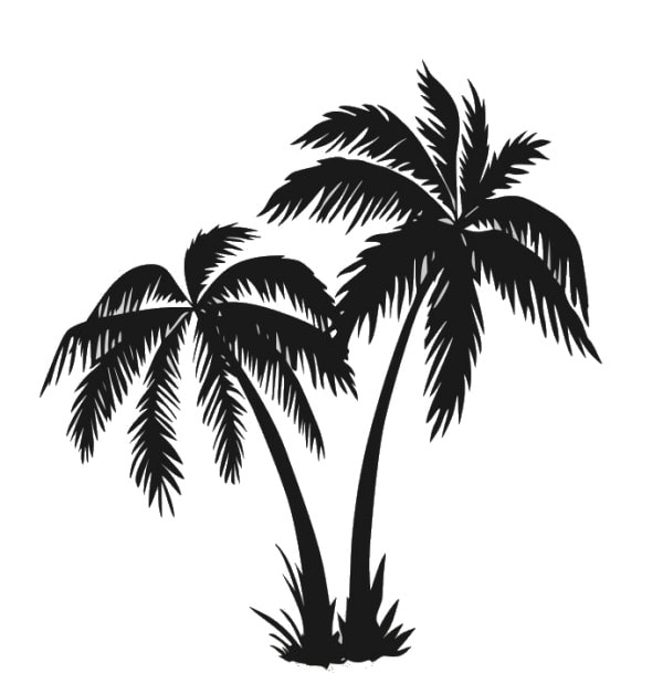 Wallsticker   Med   Flotte   Palmer    58x62cm
