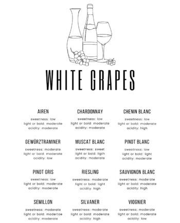 White   Grapes   Af   Pluma   Posters