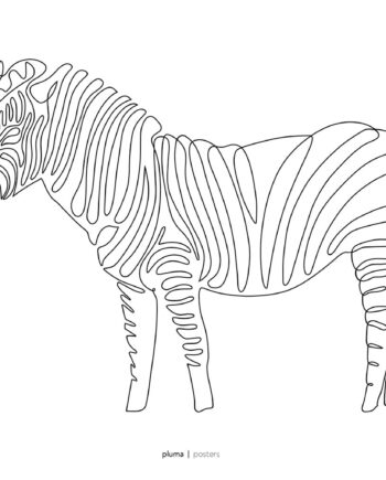 Zebra   Af   Pluma   Posters