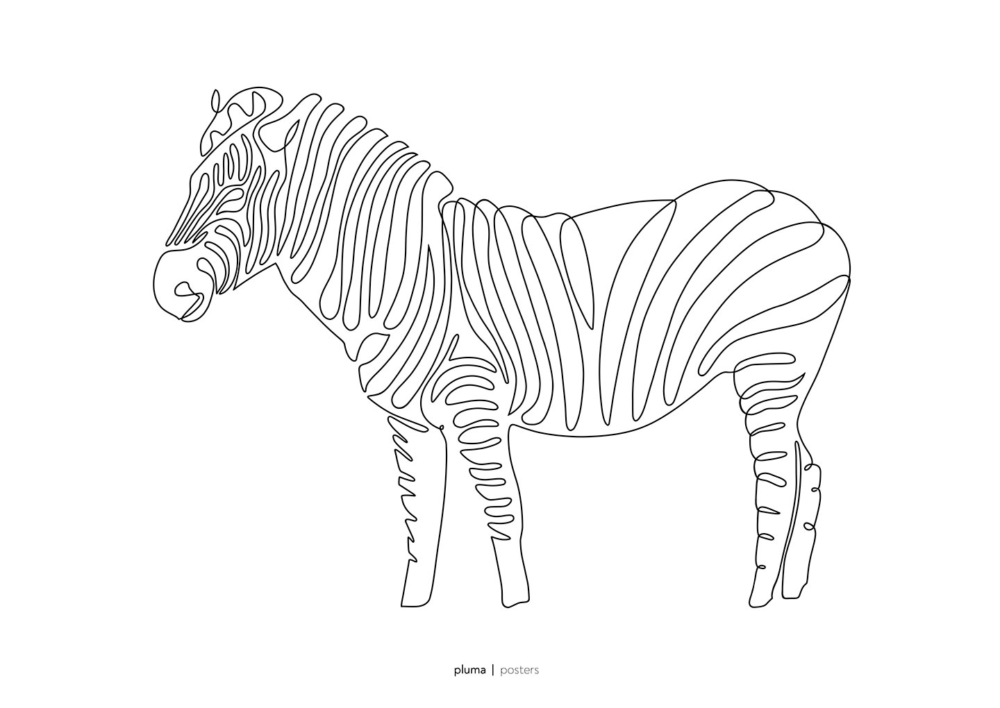 Zebra   Af   Pluma   Posters