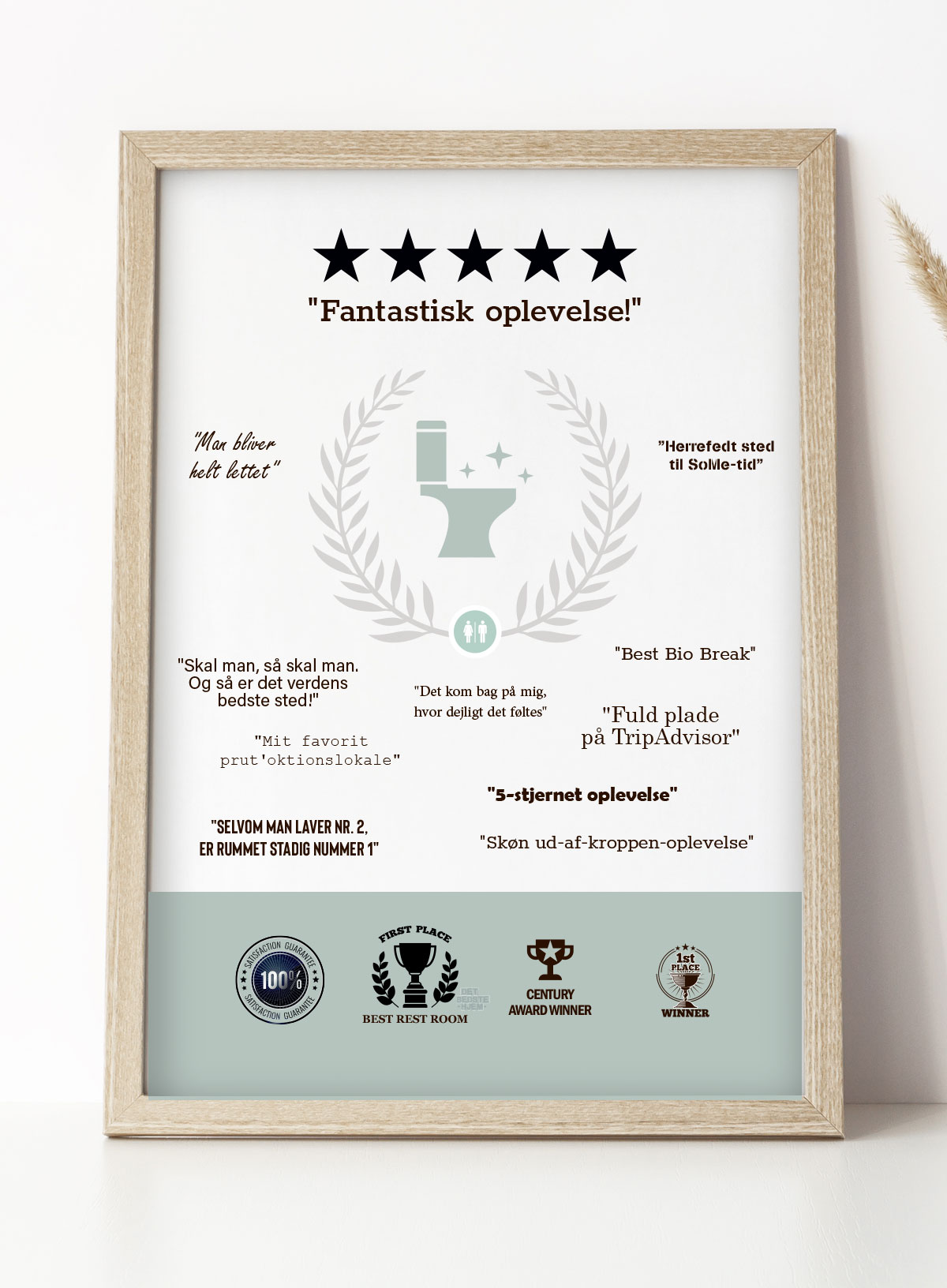 - Stjernet   Oplevelse - Plakat   21   X   29        A4    Kr    199  -